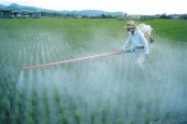 Monsanto’s Roundup threatens stability of global food supply