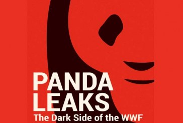 WWF é acusada de “vender a alma” para corporações