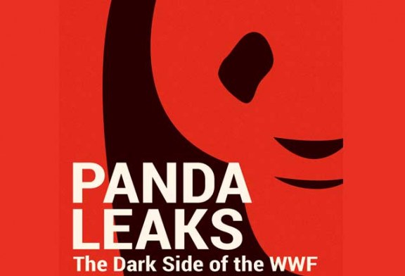 WWF é acusada de “vender a alma” para corporações